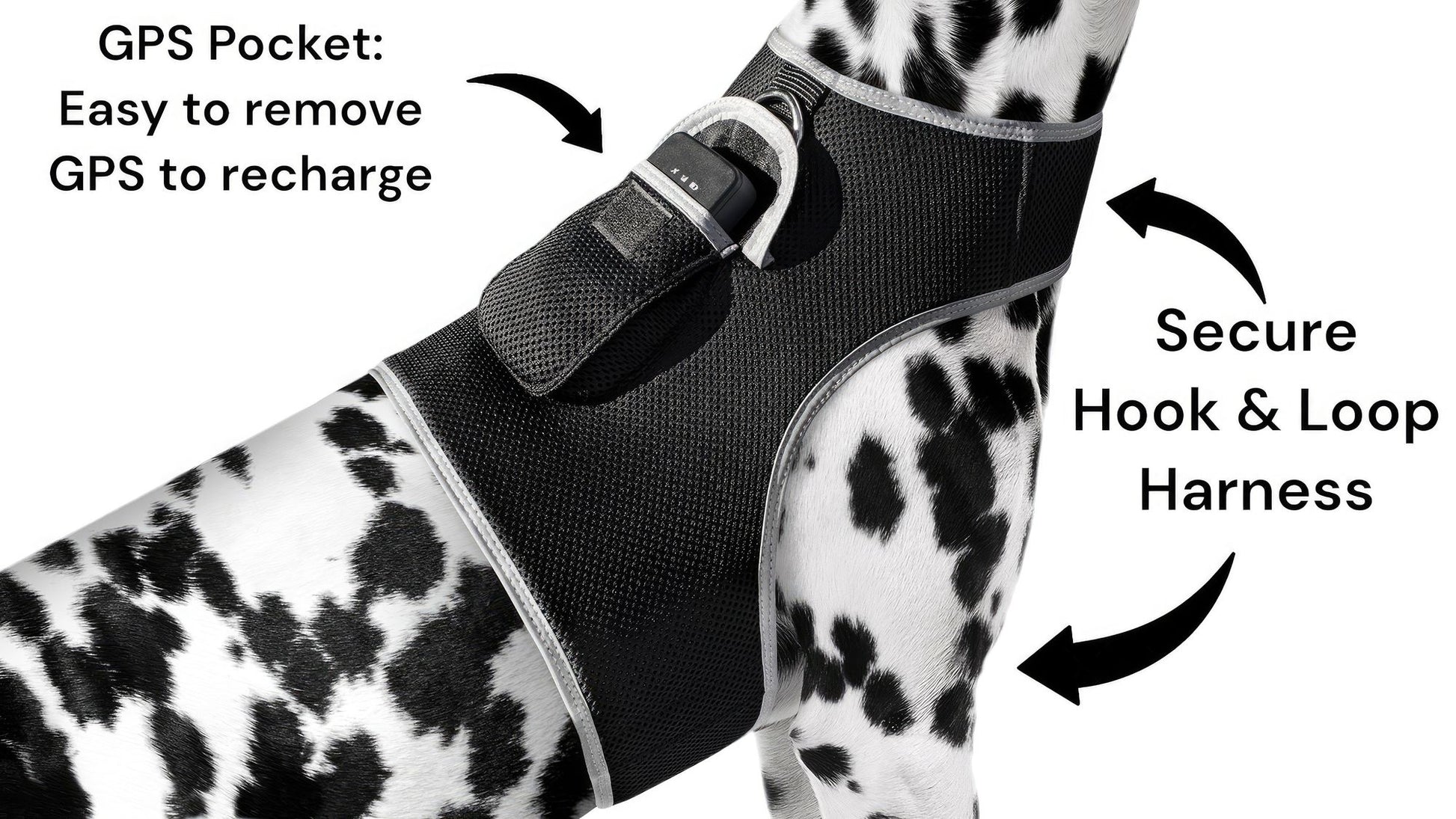 Purrfect Pet Kingdom Large Size Pet GPS Collar with Mesh Harness Purrfect Pet Kingdom