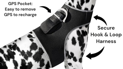 Purrfect Pet Kingdom Large Size Pet GPS Collar with Mesh Harness Purrfect Pet Kingdom