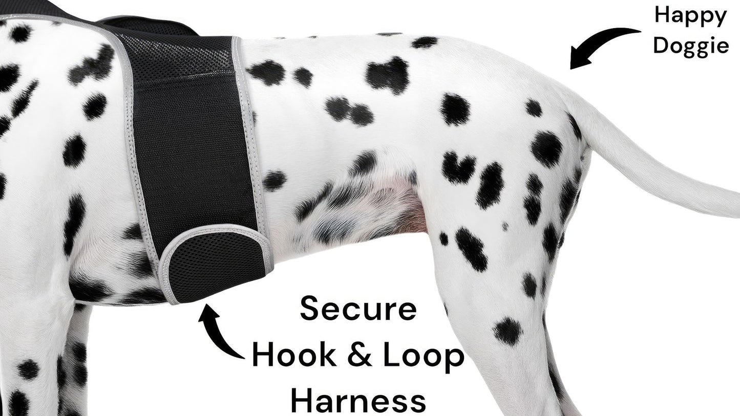 Purrfect Pet Kingdom Large Size Pet GPS Collar with Mesh Harness Purrfect Pet Kingdom