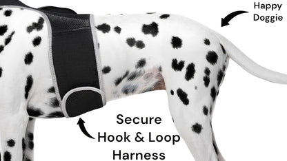 Purrfect Pet Kingdom Large Size Pet GPS Collar with Mesh Harness Purrfect Pet Kingdom