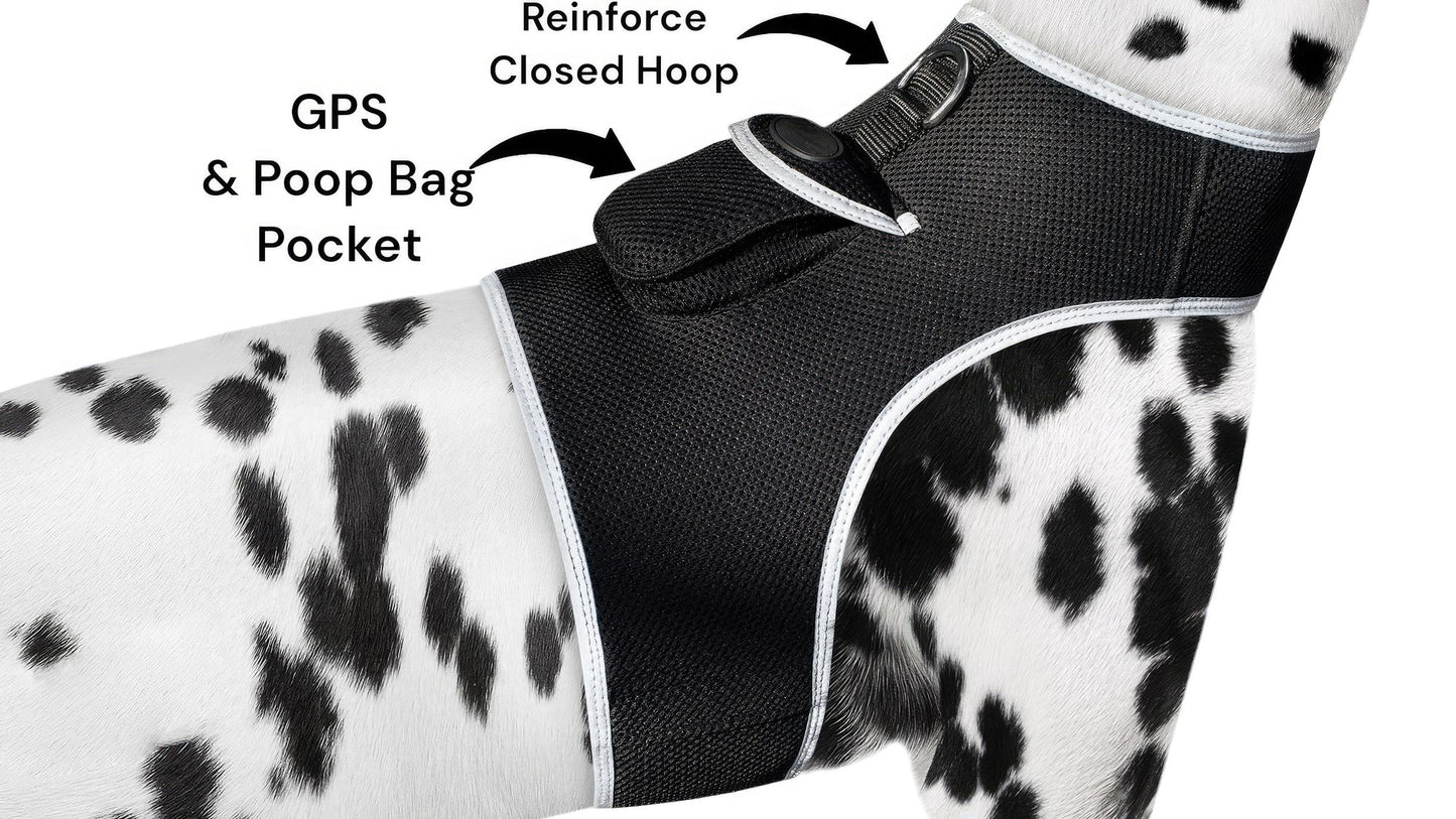 Purrfect Pet Kingdom Live SMS Pet Tracker for Dogs GPS Collar Purrfect Pet Kingdom