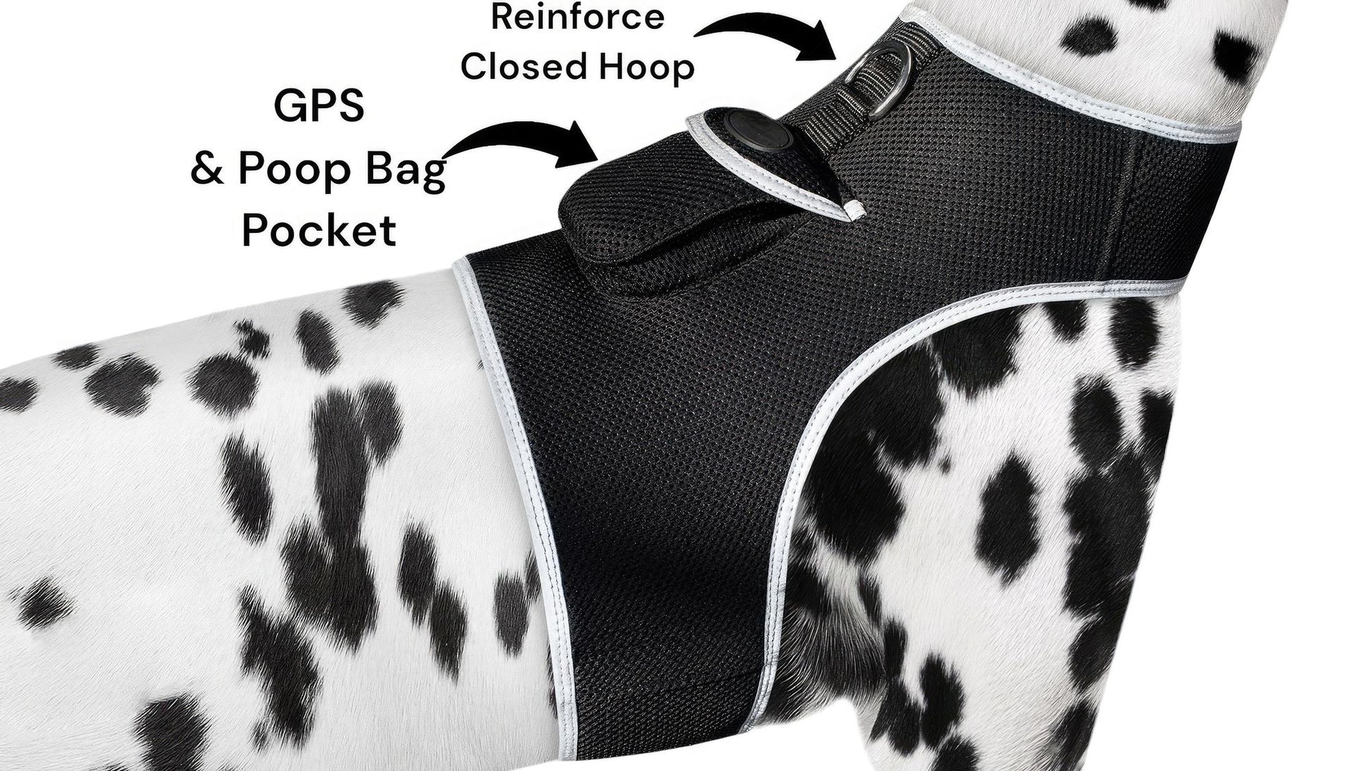 Purrfect Pet Kingdom Live SMS Pet Tracker for Dogs GPS Collar Purrfect Pet Kingdom