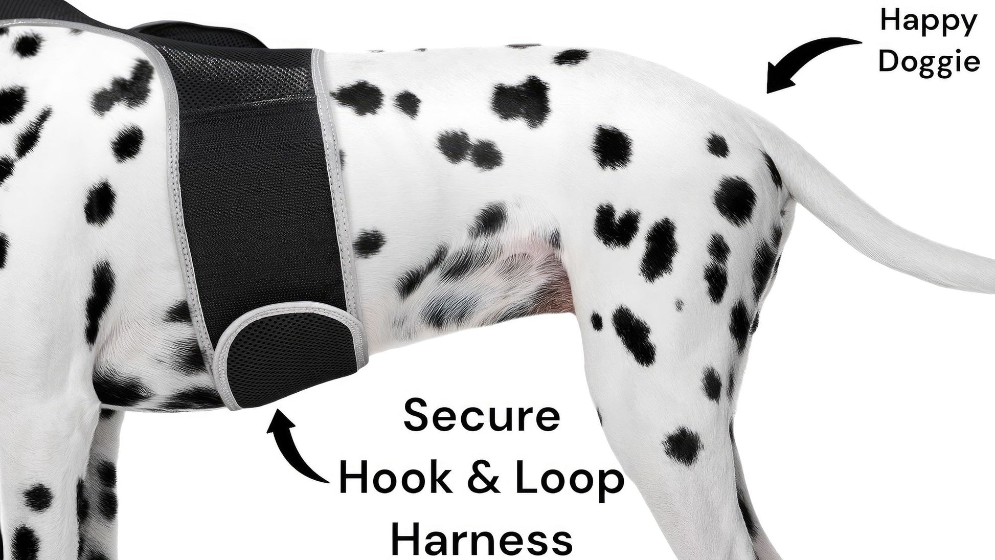 Purrfect Pet Kingdom Live SMS Pet Tracker for Dogs GPS Collar Purrfect Pet Kingdom