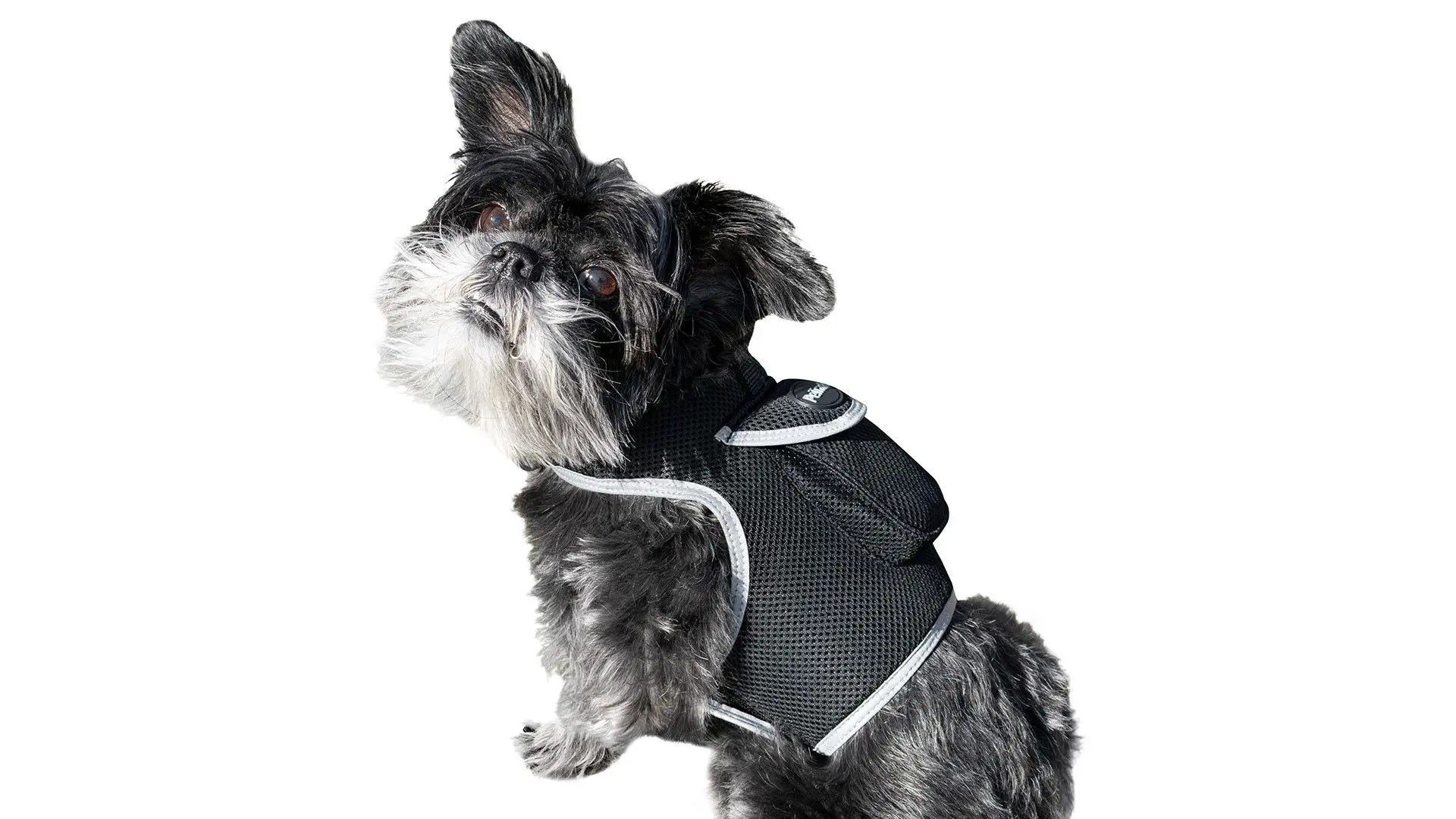 Purrfect Pet Kingdom Pet GPS Tracking Harness with iTrackPET Purrfect Pet Kingdom