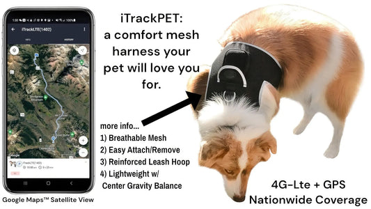 Purrfect Pet Kingdom Pet GPS Tracking Harness with iTrackPET Purrfect Pet Kingdom