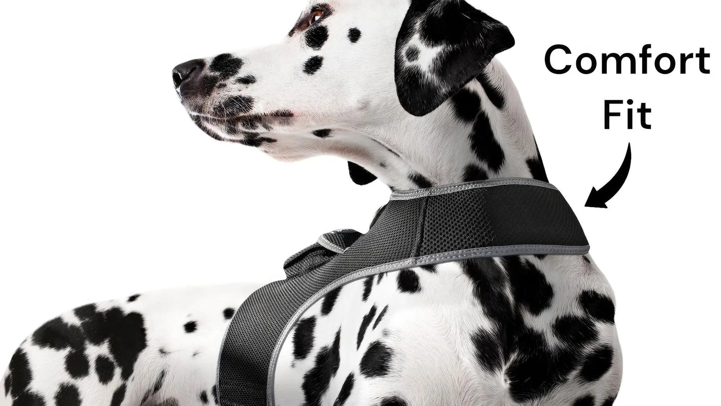 Purrfect Pet Kingdom Pet GPS Tracking Harness with iTrackPET Purrfect Pet Kingdom