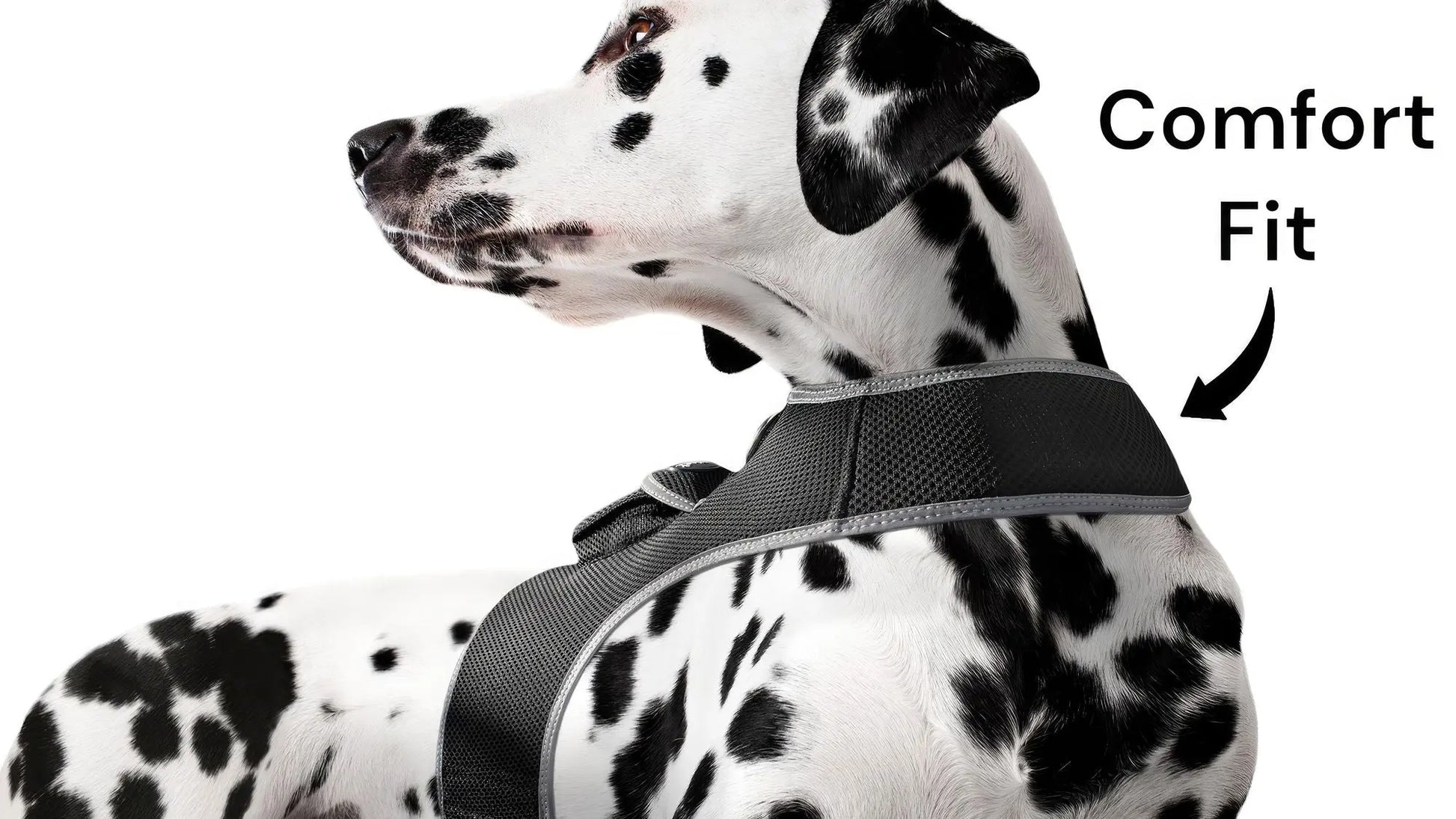 Purrfect Pet Kingdom Pet GPS Tracking Harness with iTrackPET Purrfect Pet Kingdom