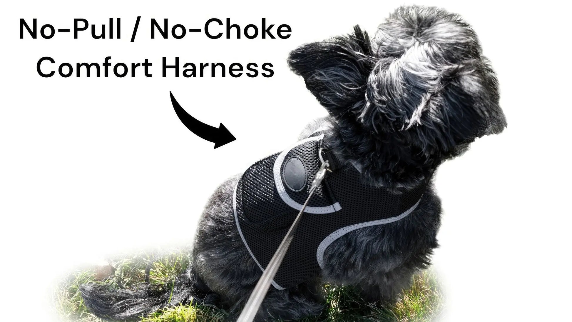 Purrfect Pet Kingdom Pet GPS Tracking Harness with iTrackPET Purrfect Pet Kingdom