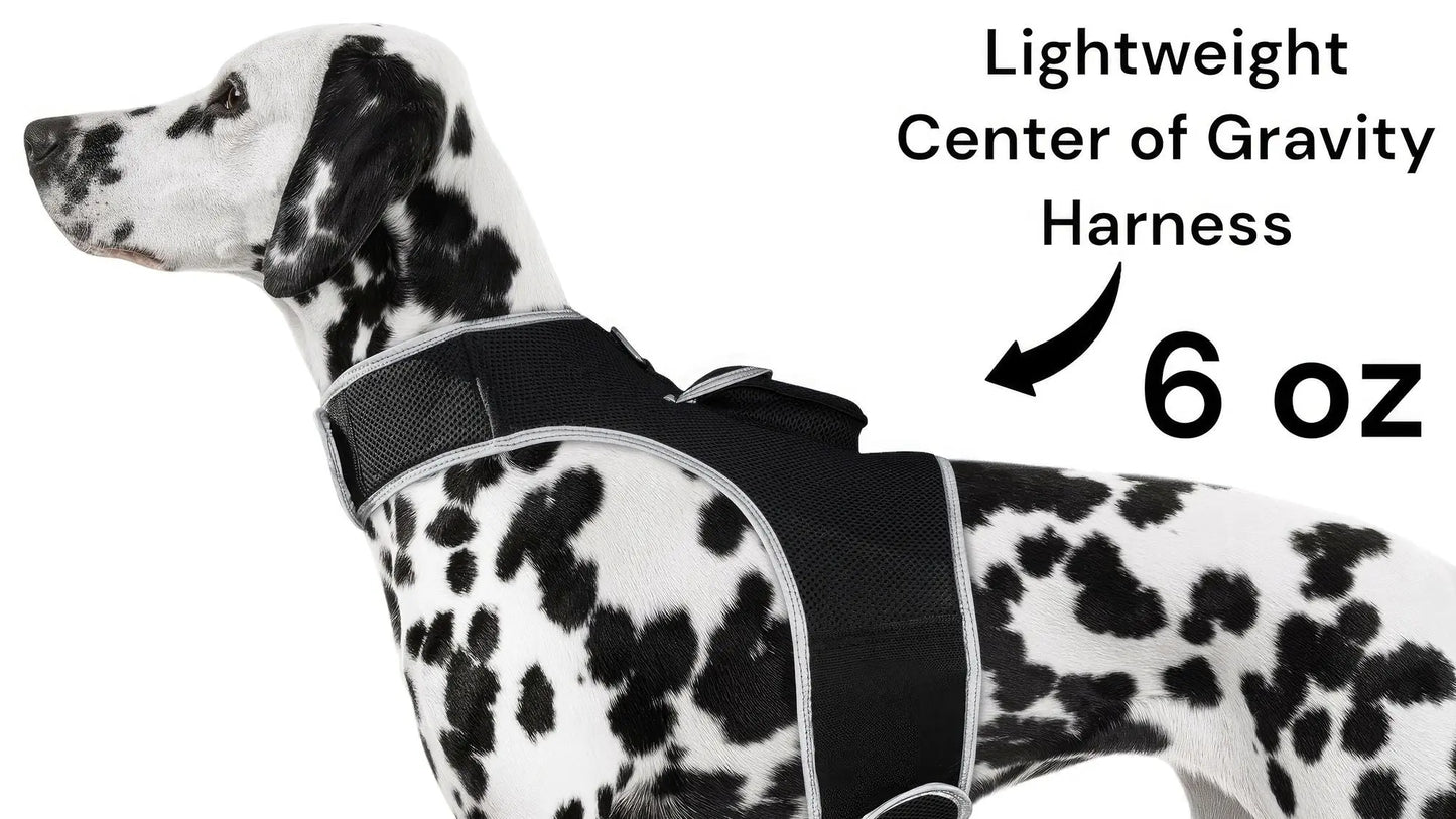 Purrfect Pet Kingdom Pet GPS Tracking Harness with iTrackPET Purrfect Pet Kingdom