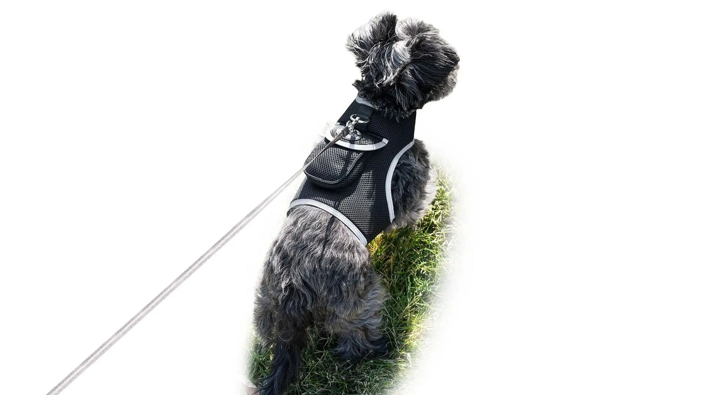 Purrfect Pet Kingdom Pet GPS Tracking Harness with iTrackPET Purrfect Pet Kingdom