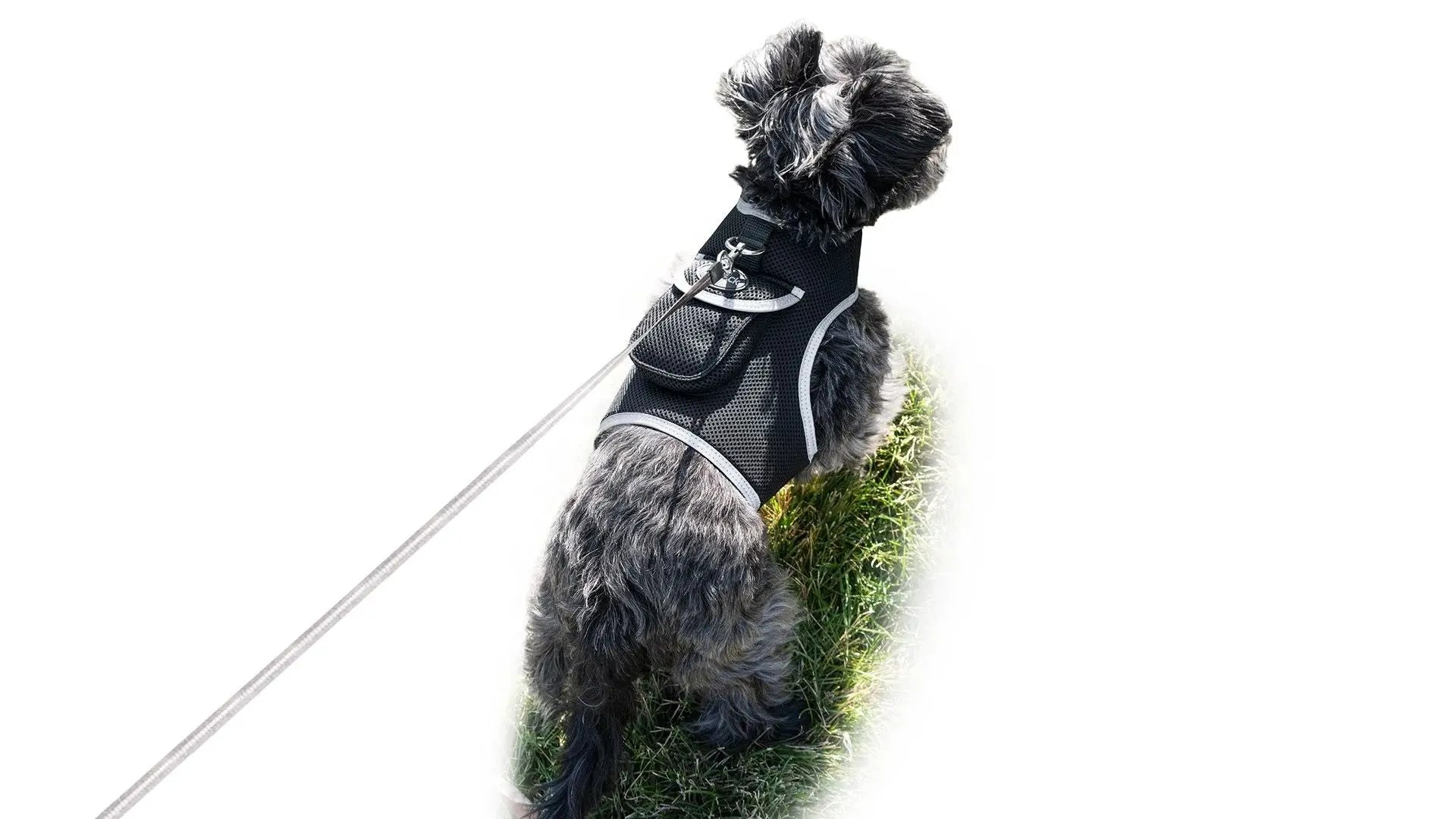 Purrfect Pet Kingdom Pet GPS Tracking Harness with iTrackPET Purrfect Pet Kingdom