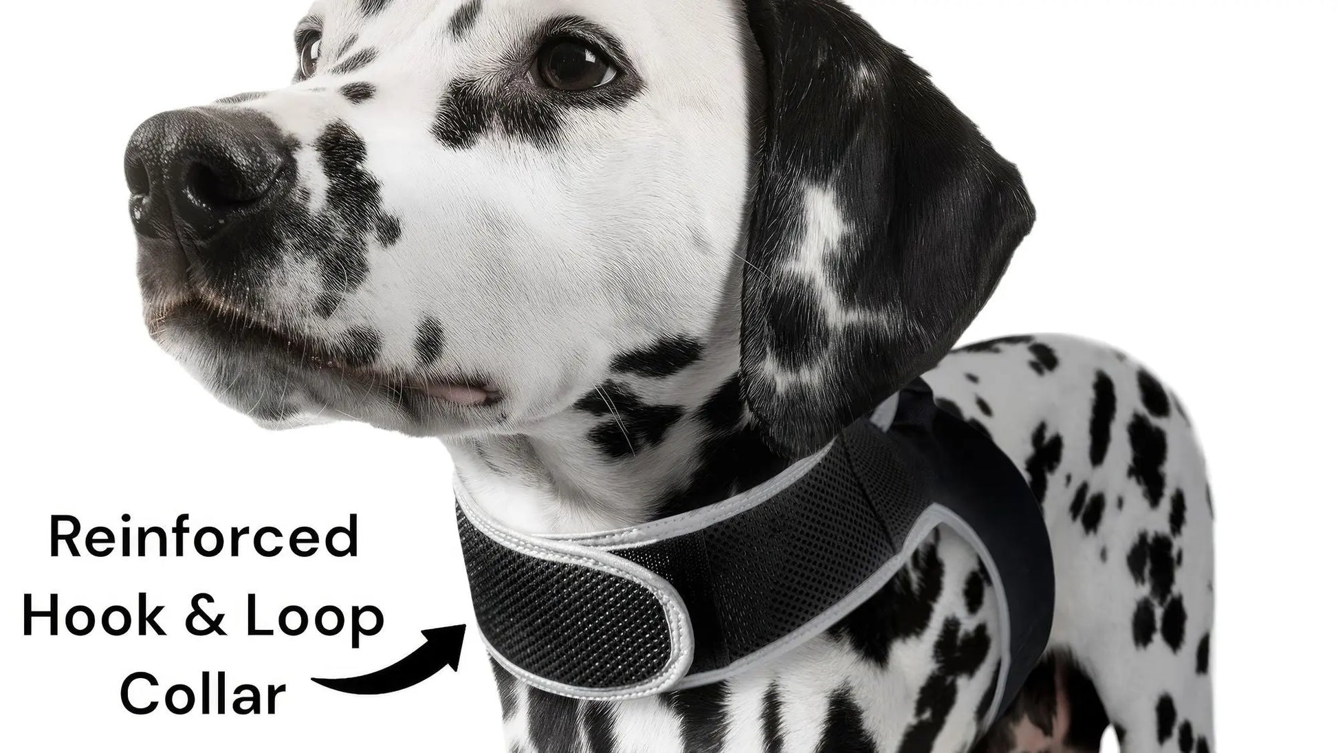 Purrfect Pet Kingdom Pet GPS Tracking Harness with iTrackPET Purrfect Pet Kingdom