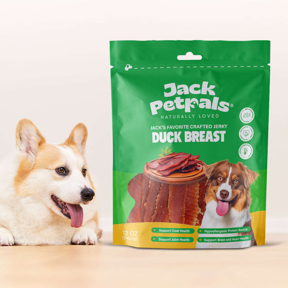 Jack PetPals dog jerky 12oz bag with duck breast treat and a happy corgi beside it