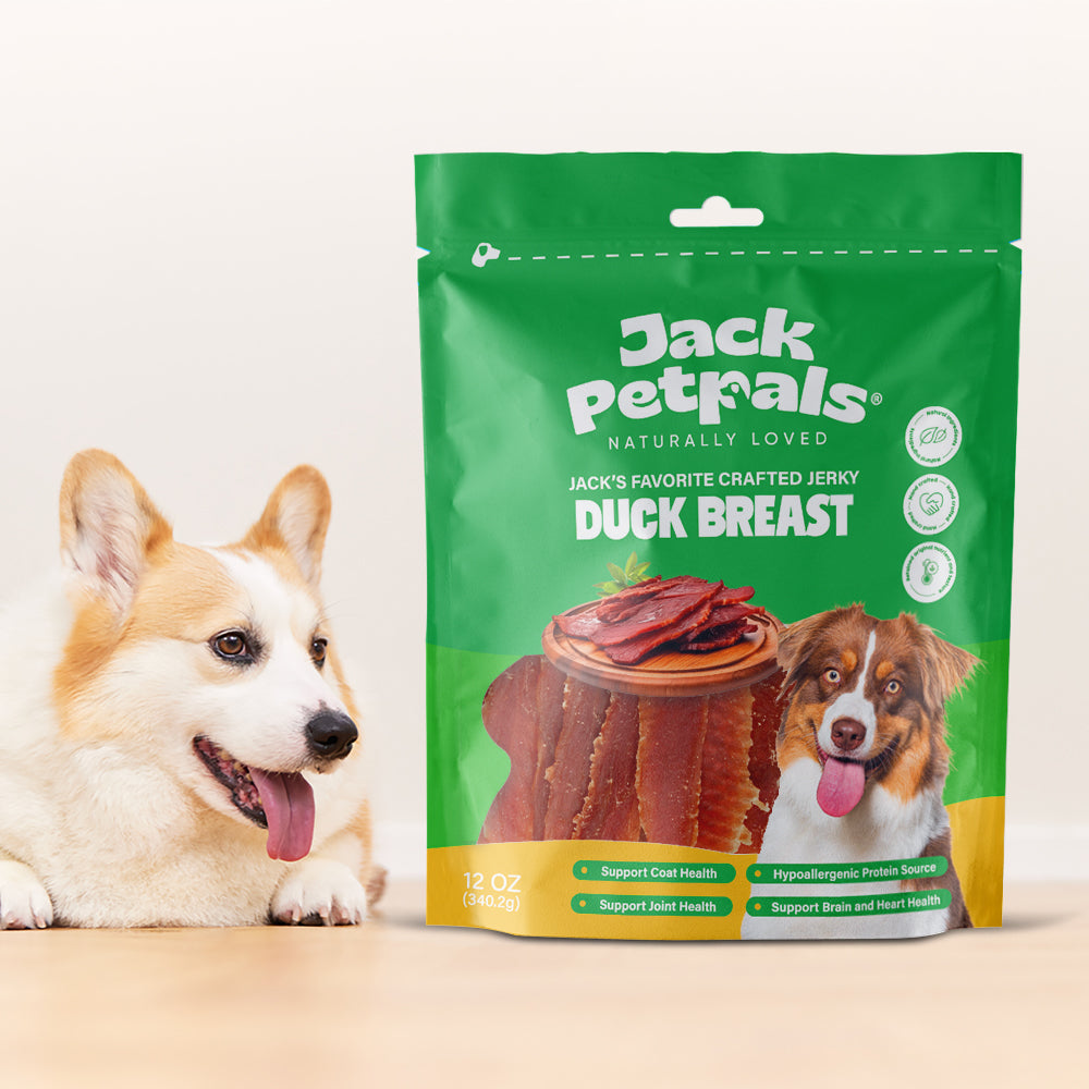 Dog Treats Jack PetPals Handcrafted Jerky Duck Breast Treats - lifestyle product image for dog treats