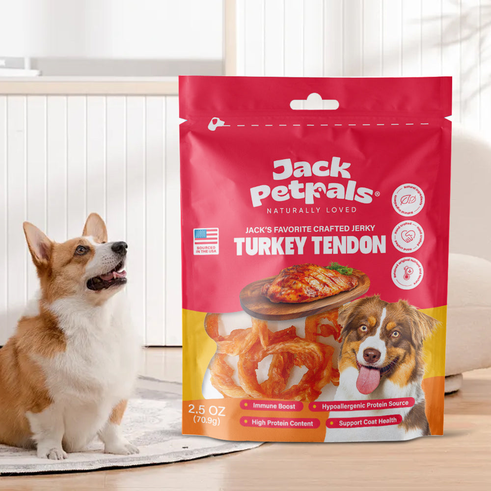 Jack PetPals healthy turkey treats for dogs with high protein and immune-boosting benefits in 2.5 oz package