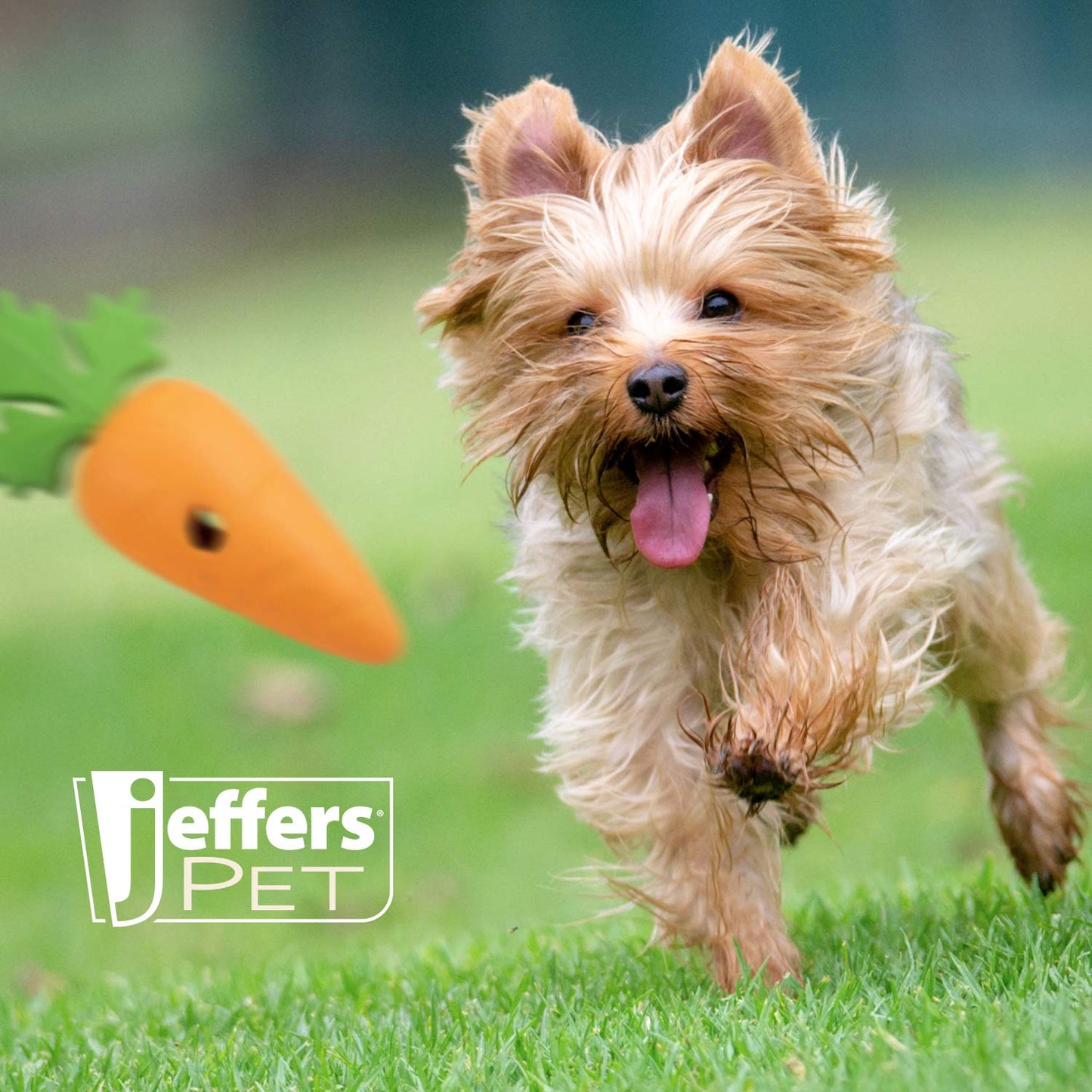 Jeffers Baby Carrot Natural Rubber Treat Dispensing Dog Dental