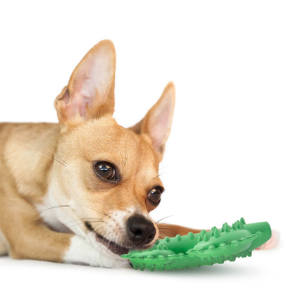 Jeffers Cactus Natural Rubber Dental Chew Toy for Dogs for H