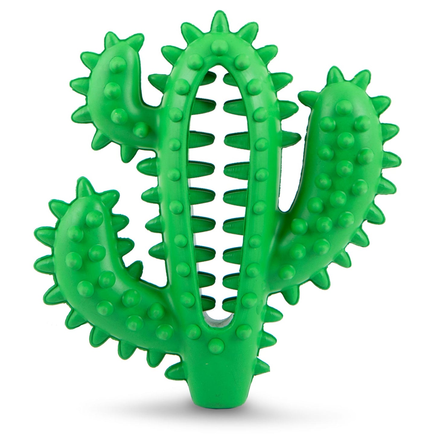 Jeffers Cactus Natural Rubber Dental Chew Toy for Dogs for H