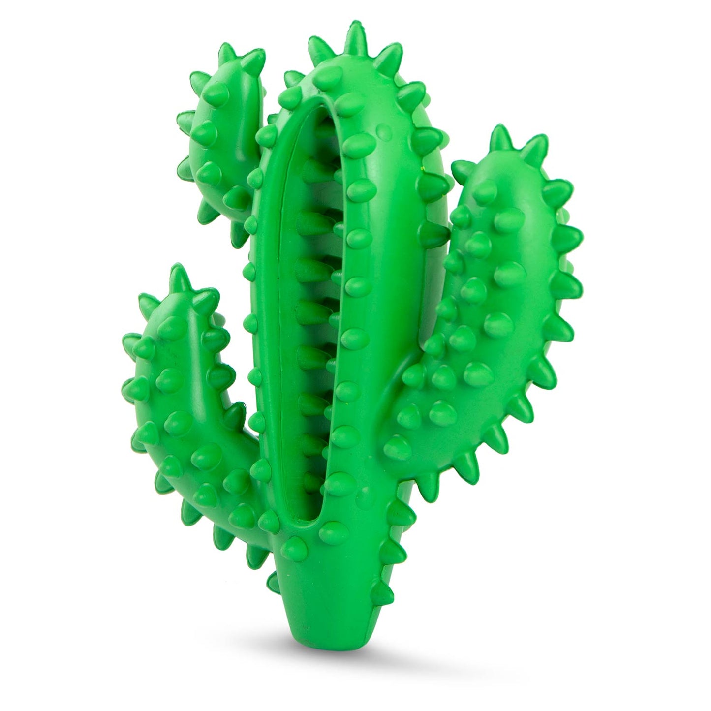 Jeffers Cactus Natural Rubber Dental Chew Toy for Dogs for H