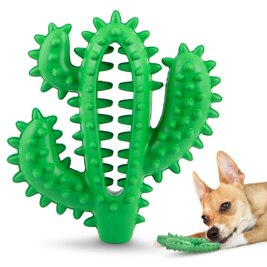 Purrfect Pet Kingdom Jeffers Cactus Natural Rubber Dental Chew Toy for Dogs for H (Green, Medium, 1) - Premium Dog Toys