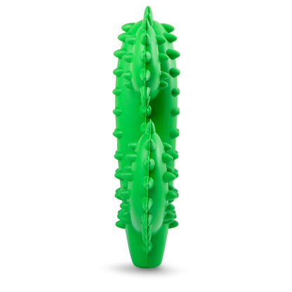 Jeffers Cactus Natural Rubber Dental Chew Toy for Dogs for H