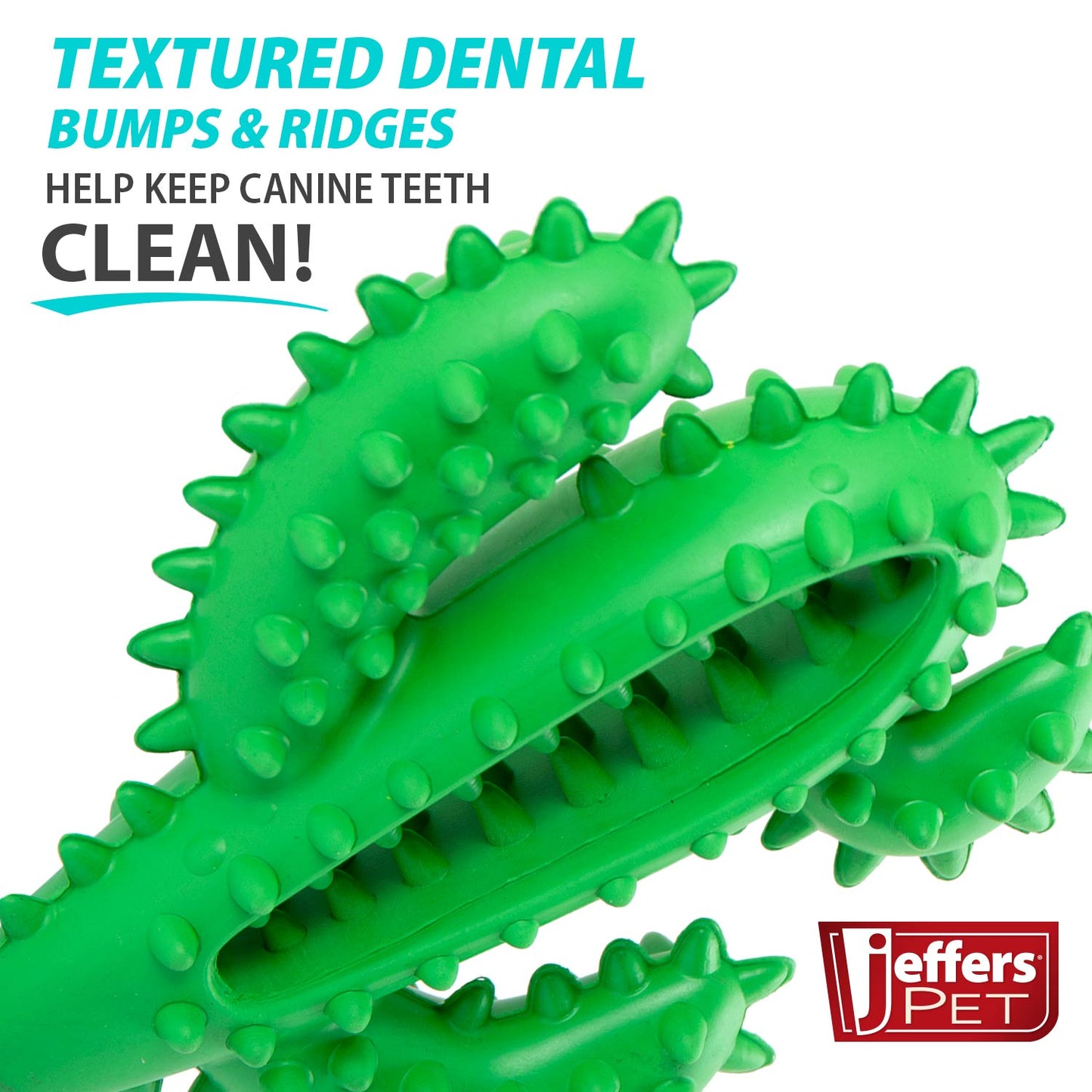 Jeffers Cactus Natural Rubber Dental Chew Toy for Dogs for H