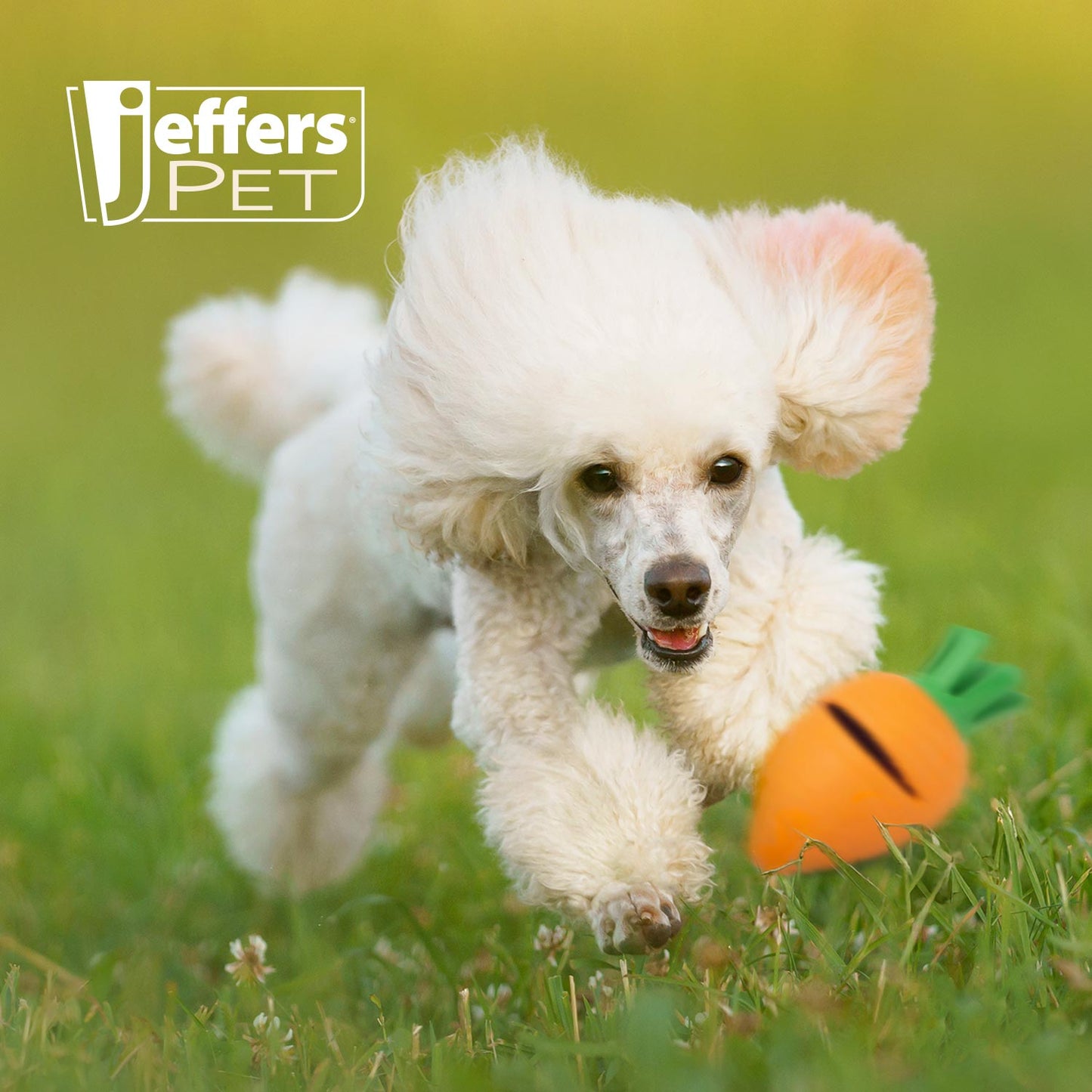 Jeffers Carrot Natural Rubber Treat Dispensing Dental Dog Ch