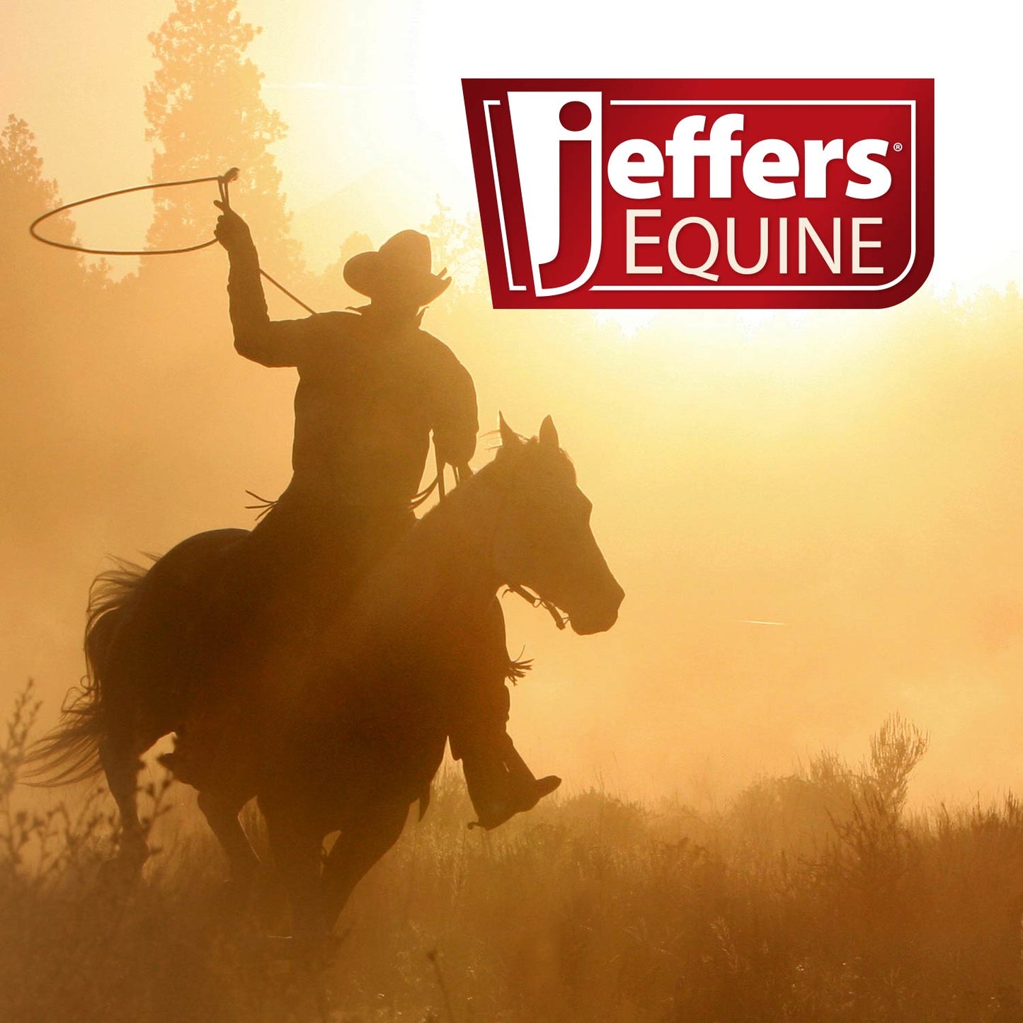 Jeffers Equine Medicated Iodine Antibacterial and Antifungal