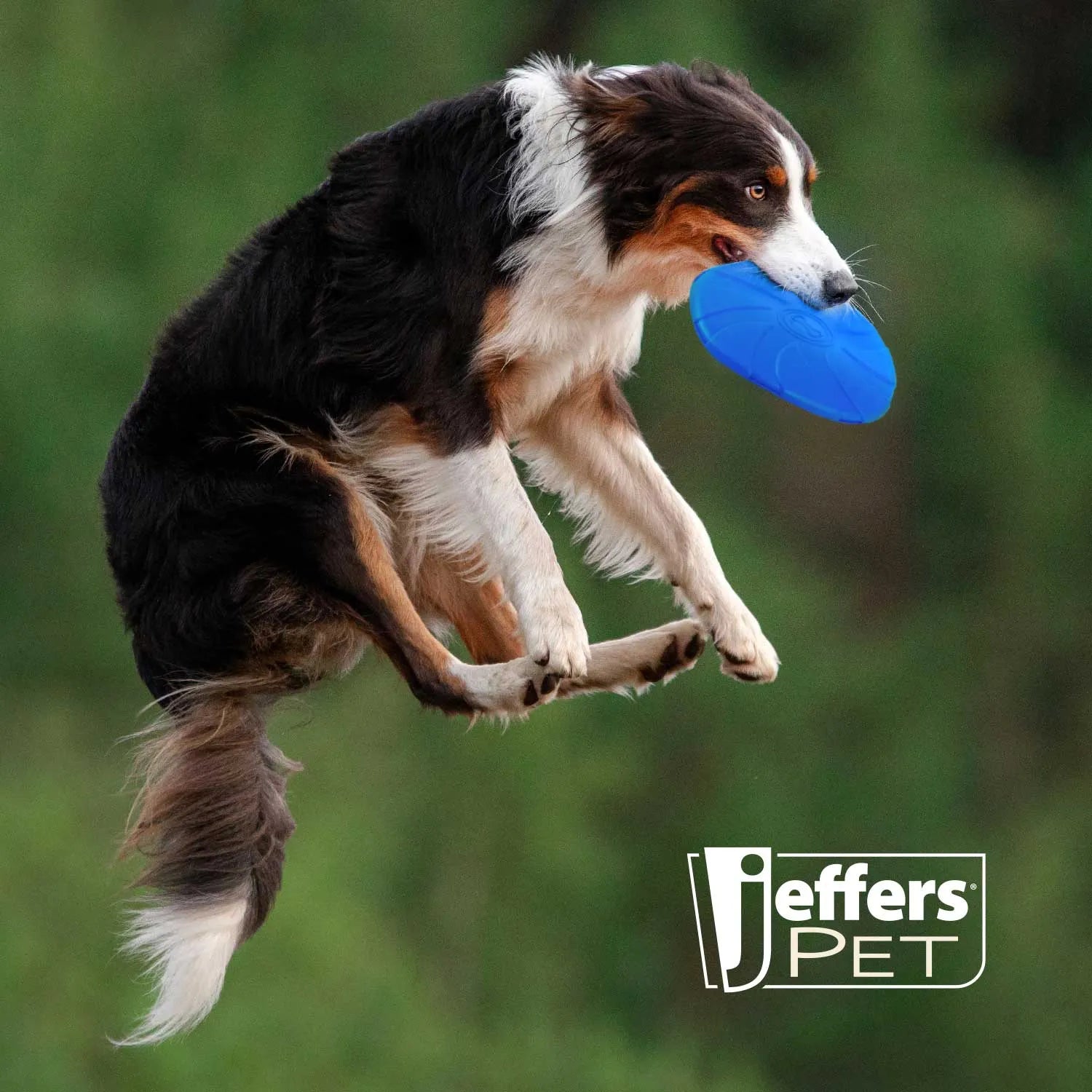 Jeffers - Jeffers Blue Bone Stamped Frisbee Natural Rubber 8 Inch Dog Toy for Fetching & Chewing - Dog Toys