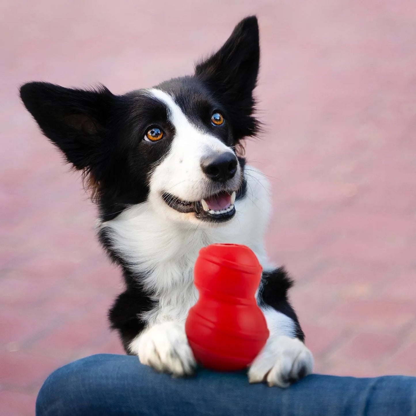 Jeffers - Jeffers Red Classic Stuffable Fetch & Chew Natural Rubber Treat Dispensing Dental Dog Toy - Dog Supplies > Dog Toys