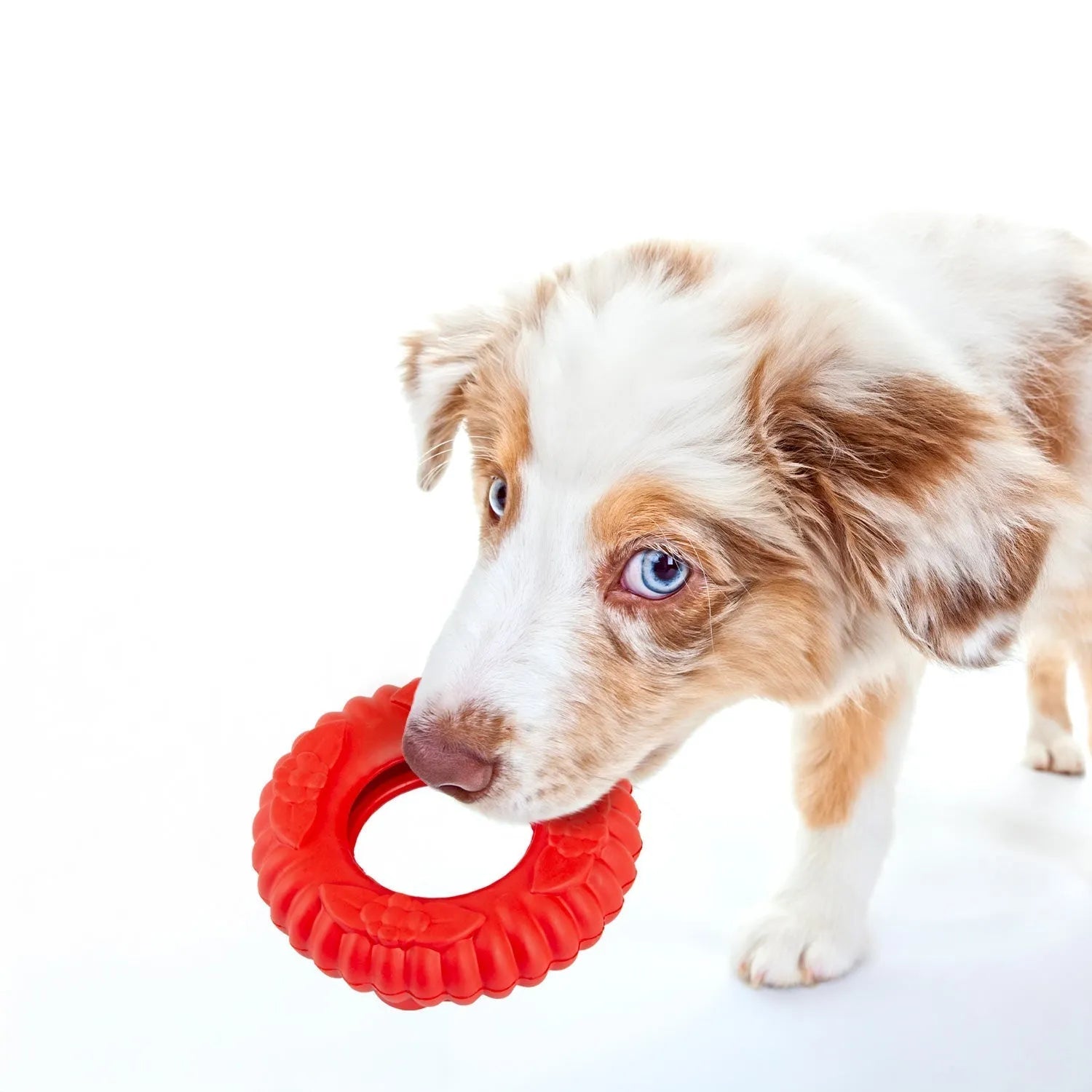 Jeffers - Jeffers Red Virgo Natural Rubber Dog Dental Tugger Toy - Dog Supplies > Dog Toys