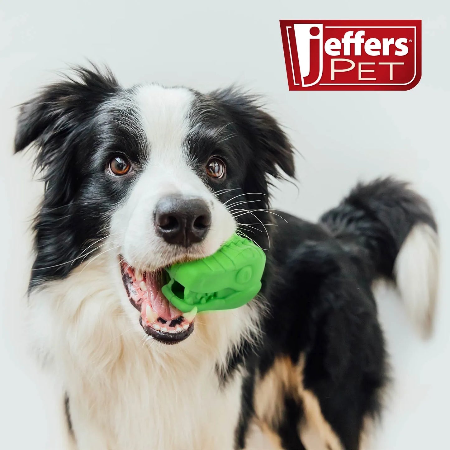 Jeffers - Jeffers T-Rex Natural Rubber Treat Dispensing Dental Dog Chew Toy for Medium Chewers with Vanilla Scent - Dog Su...