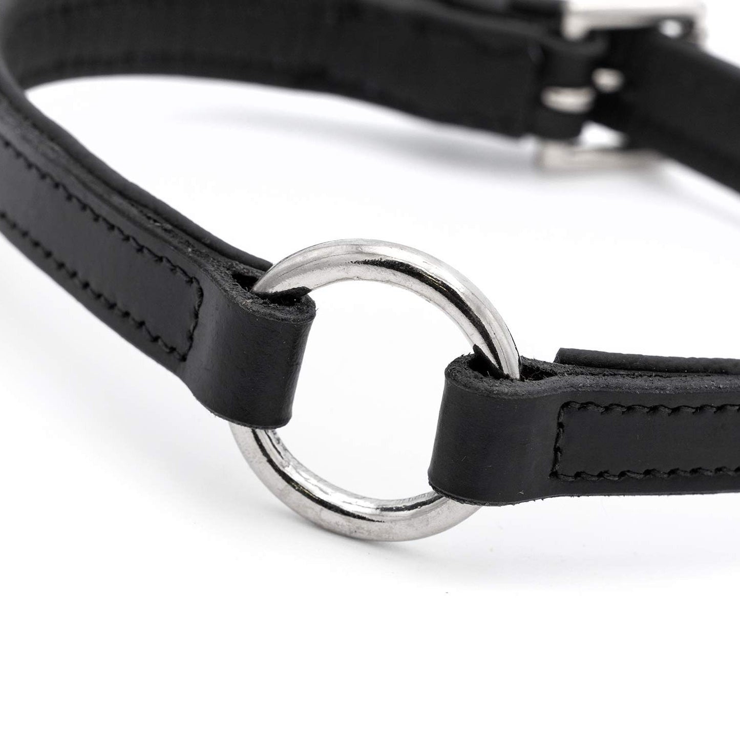 Jeffers Padded Black Leather Dog Collar with Nickel Hardware