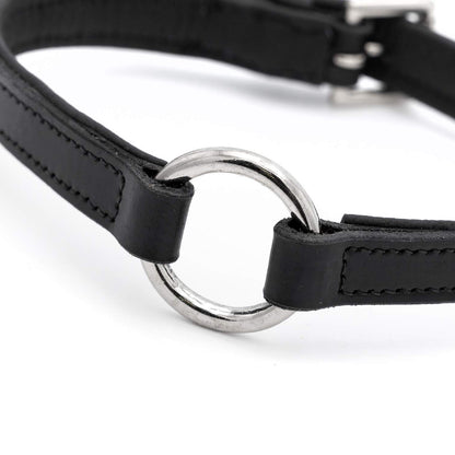Jeffers Padded Black Leather Dog Collar with Nickel Hardware