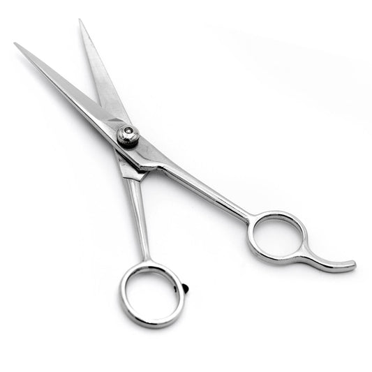 Professional Stainless Steel Grooming Shears for Pets at Ho
