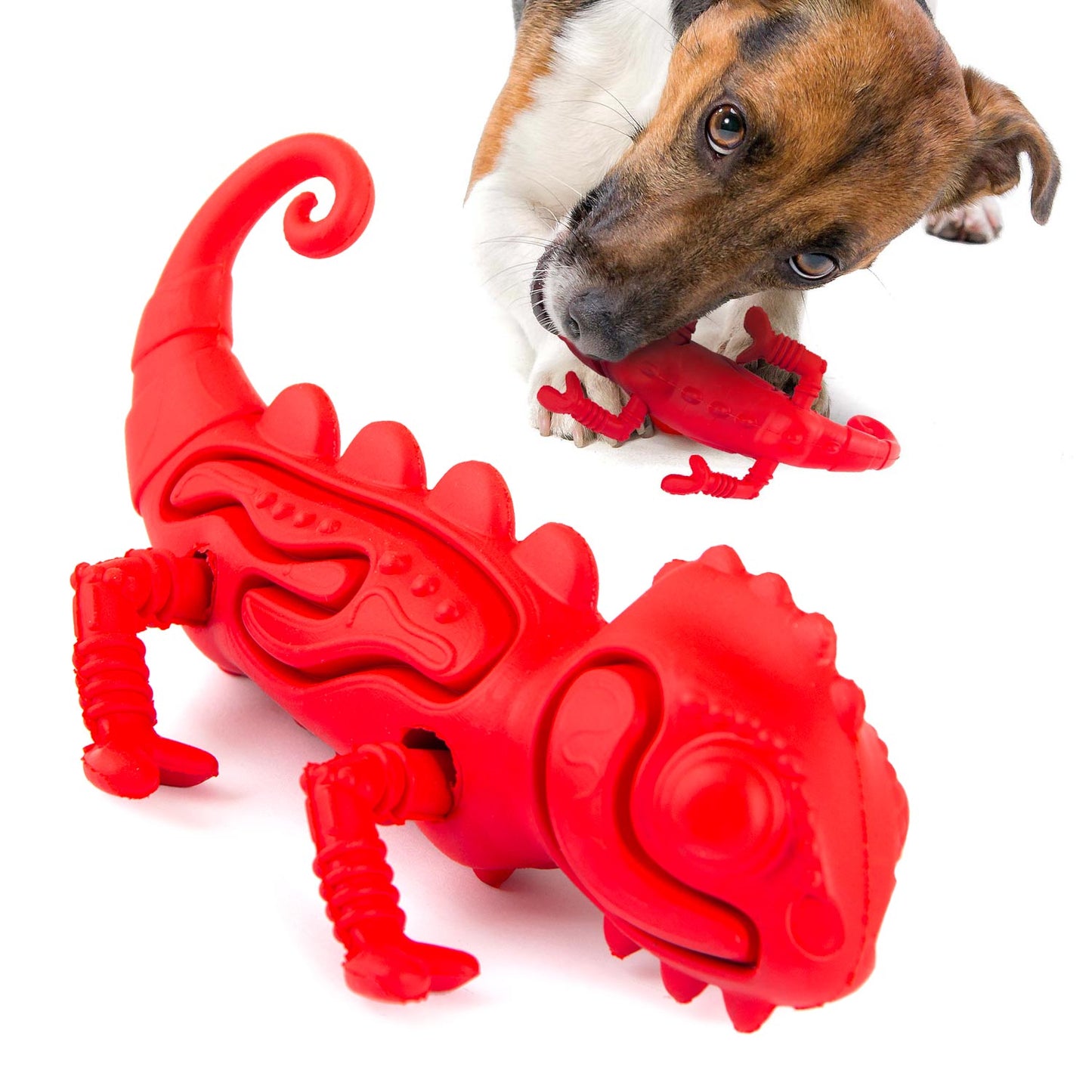 Purrfect Pet Kingdom Jeffers Red Chameleon Natural Eco-Friendly Rubber Dental Dog (Red, Medium, 1) - Premium Dog Toys