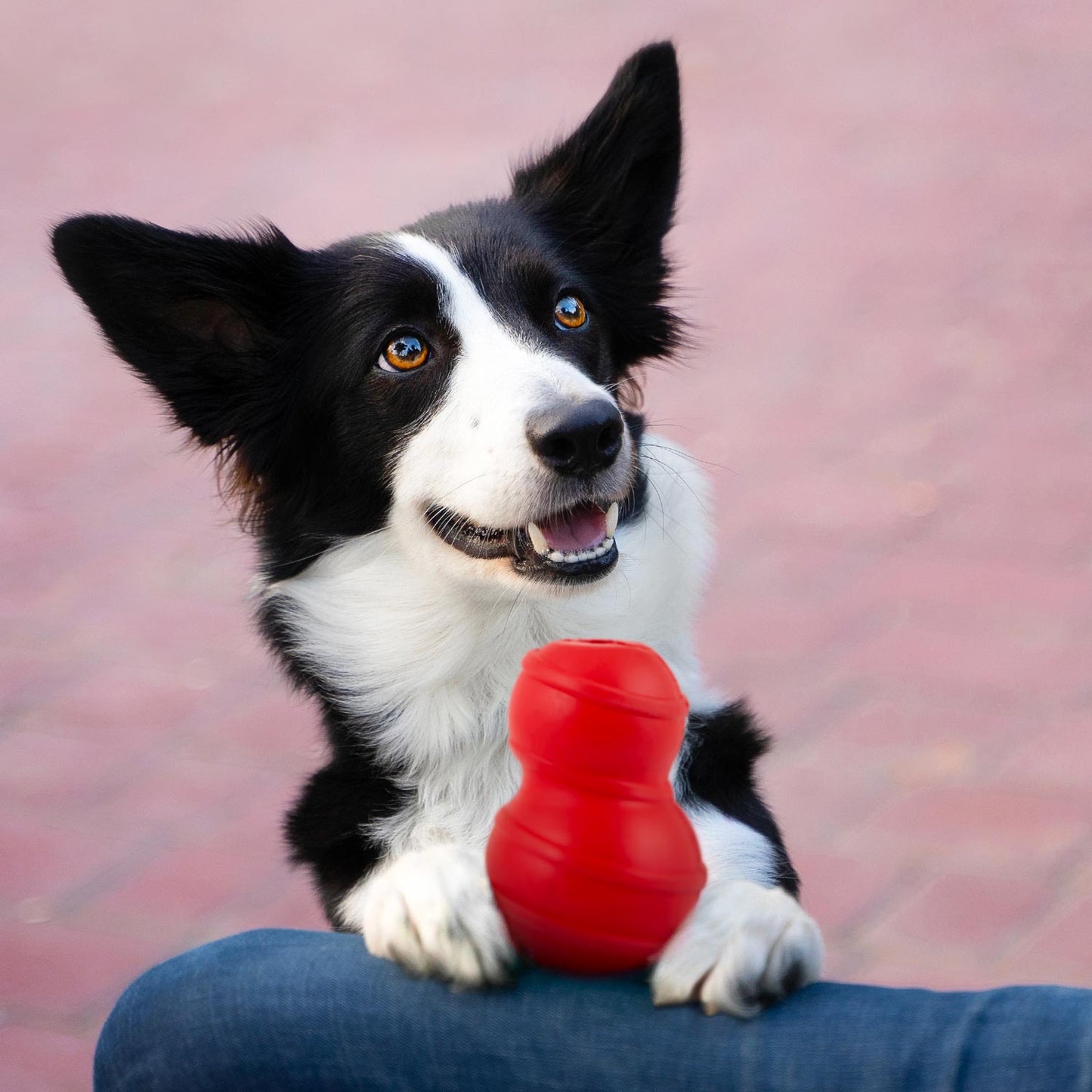 Jeffers Red Classic Stuffable Fetch & Chew Natural Rubber Tr
