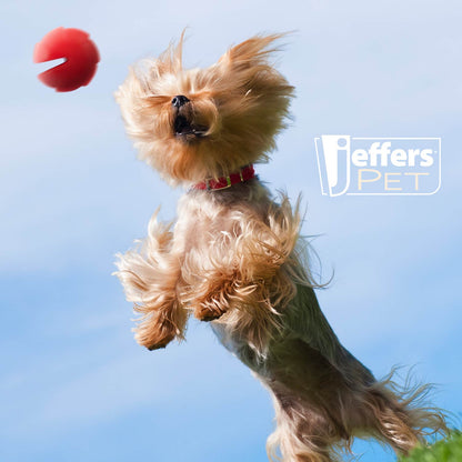 Jeffers Red Millipede Durable Rubber Treat Dental Dog Toy