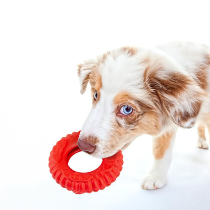 Durable Red Virgo Natural Rubber Dog Dental Tug Toy For Dogs