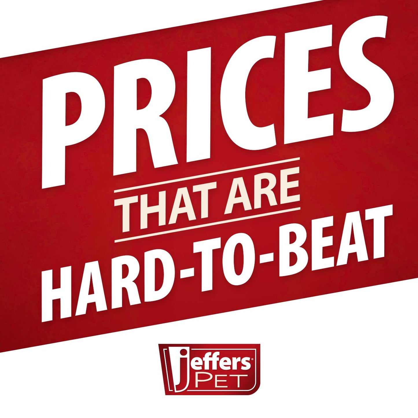 Jeffers Padded Black Leather Dog Collar with Nickel Hardware