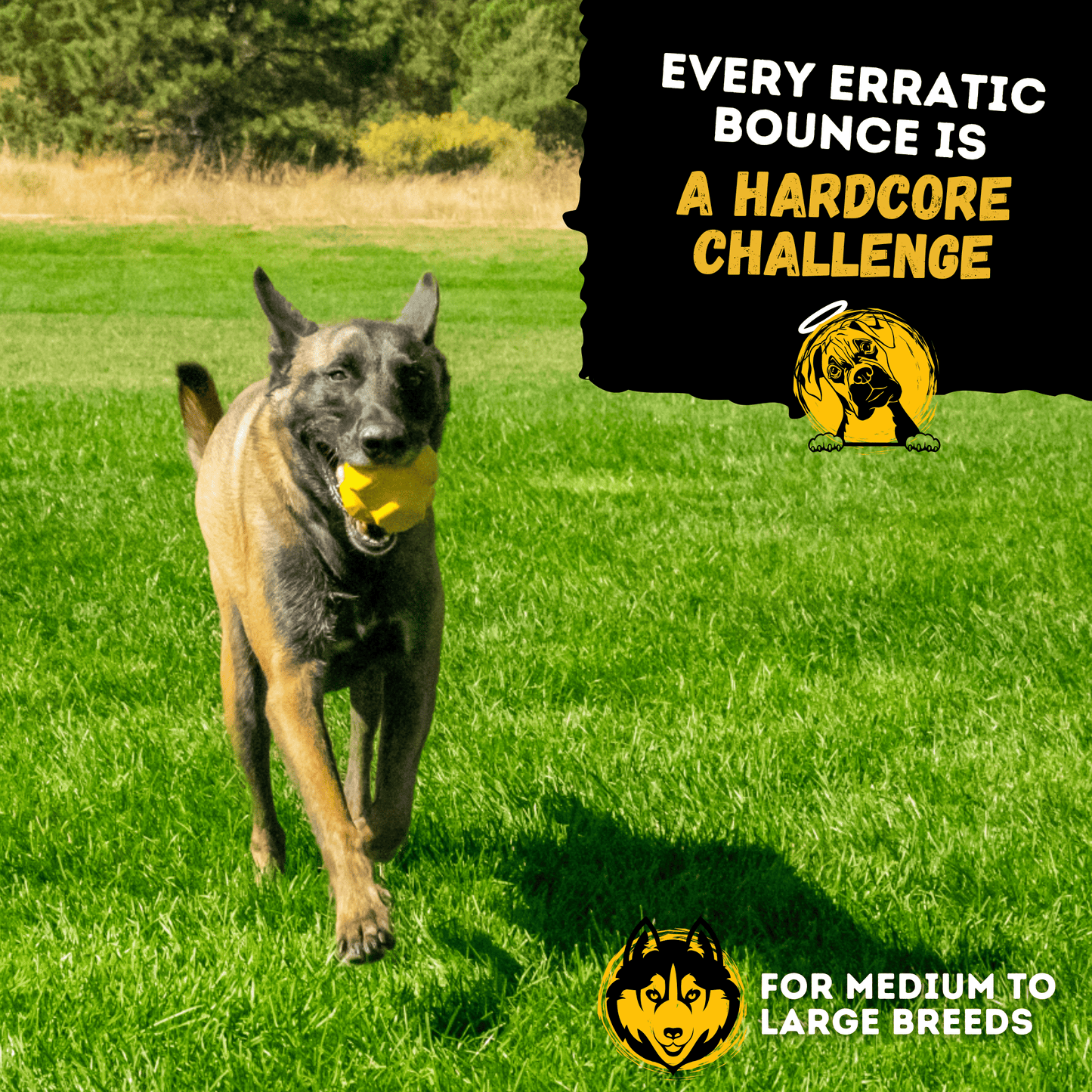 Monster K9 Jumping Jack Dog Toy 🦘