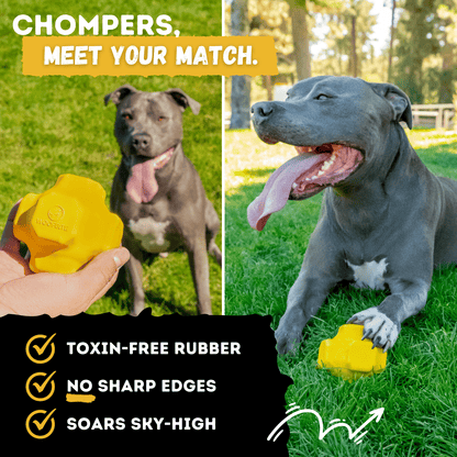 Monster K9 Jumping Jack Dog Toy 🦘