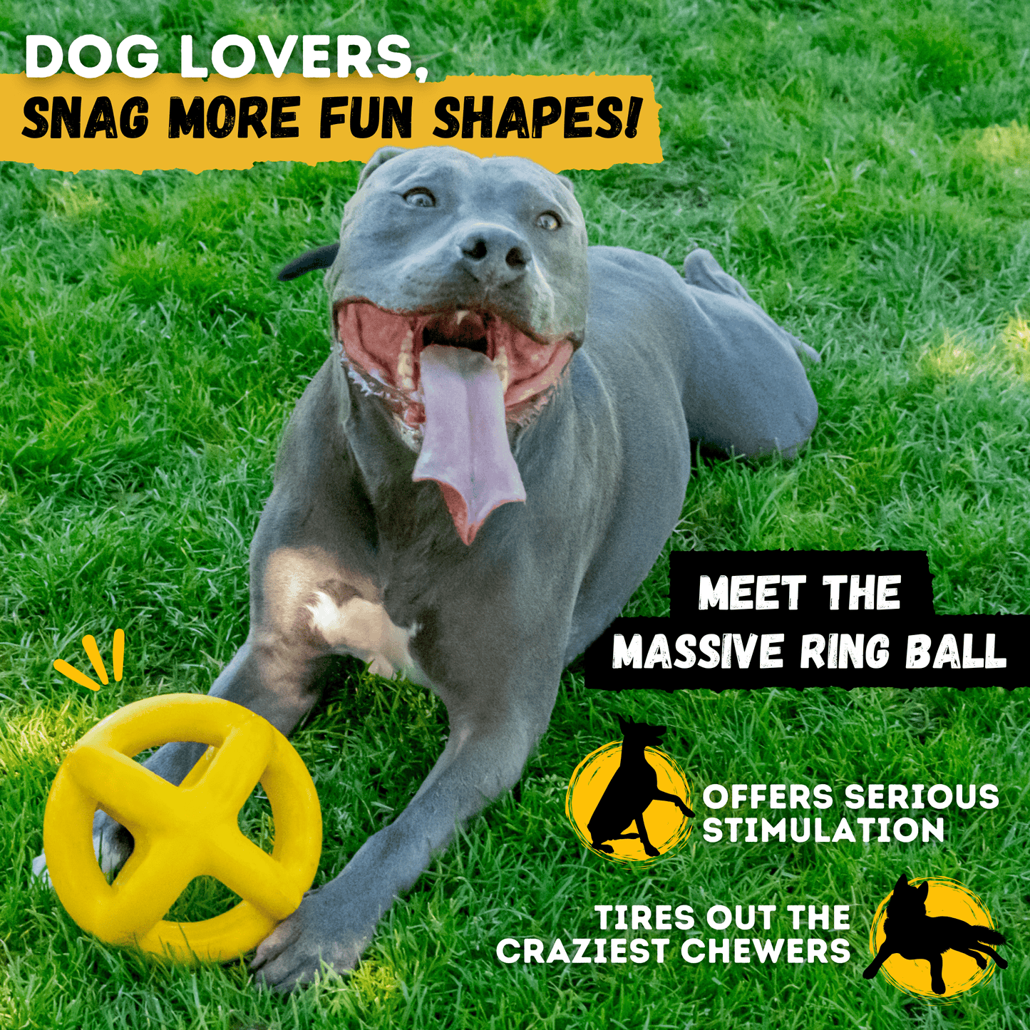 Monster K9 Jumping Jack Dog Toy 🦘