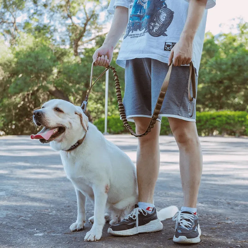 Berry Charmz bungee dog leash in khaki, 100-150cm, featuring tactical design, adjustable length, and 2 control handles.