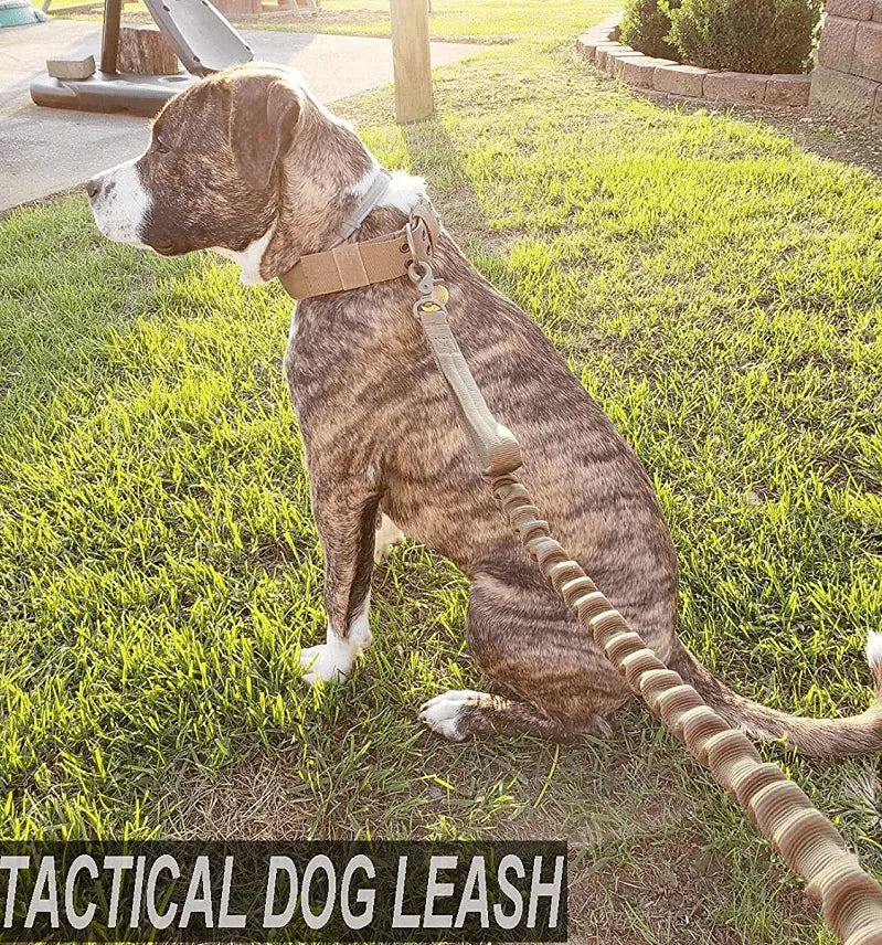 Bungee Dog Leash by Berry Charmz, adjustable tactical nylon in khaki, 100-150cm, perfect for dog control and comfort.