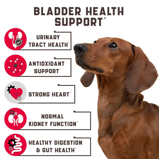 Purrfect Pet Kingdom Bladder Health Treats for Pets Purrfect Pet Kingdom