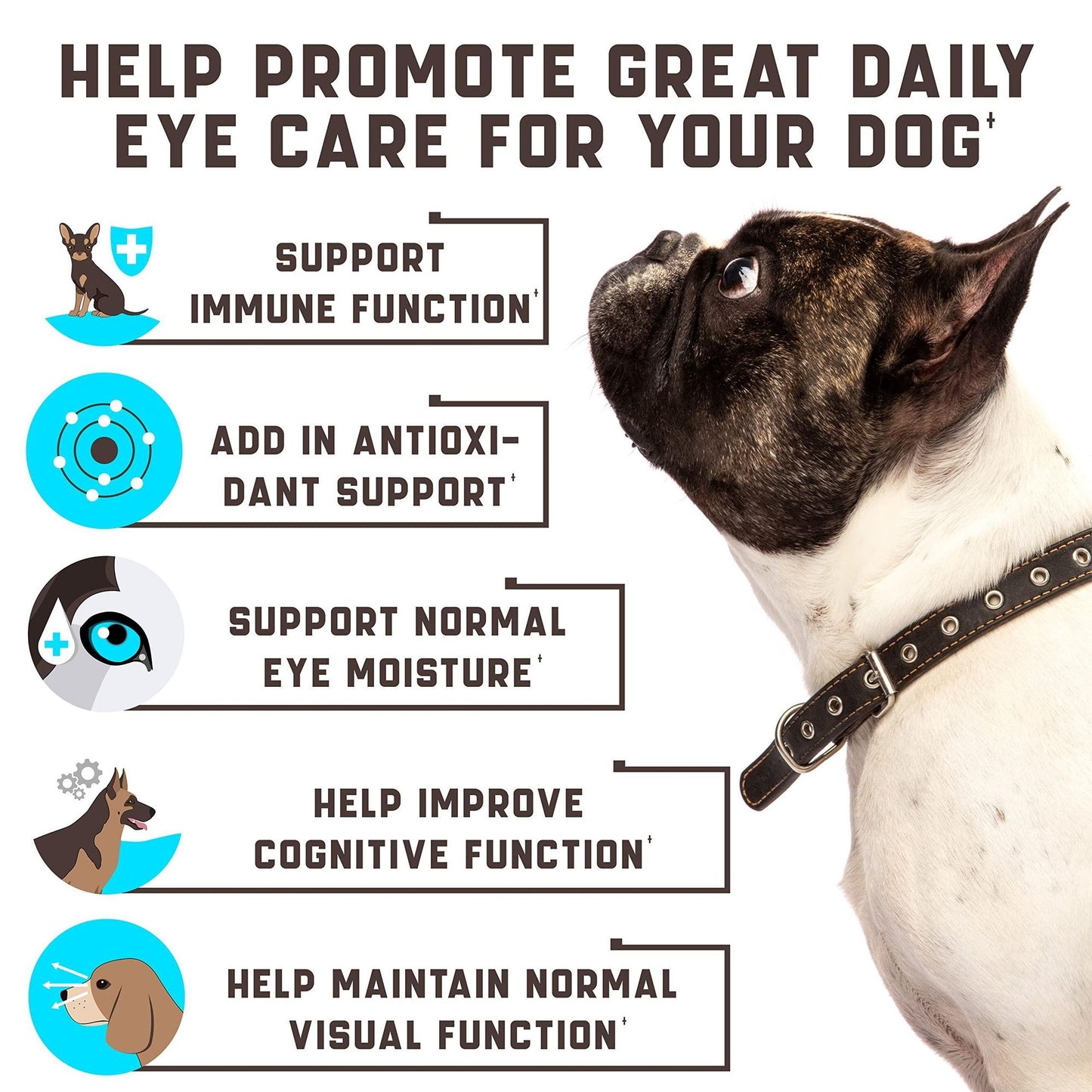 Purrfect Pet Kingdom Eye Vitamins for Dogs - Clear Vision Purrfect Pet Kingdom