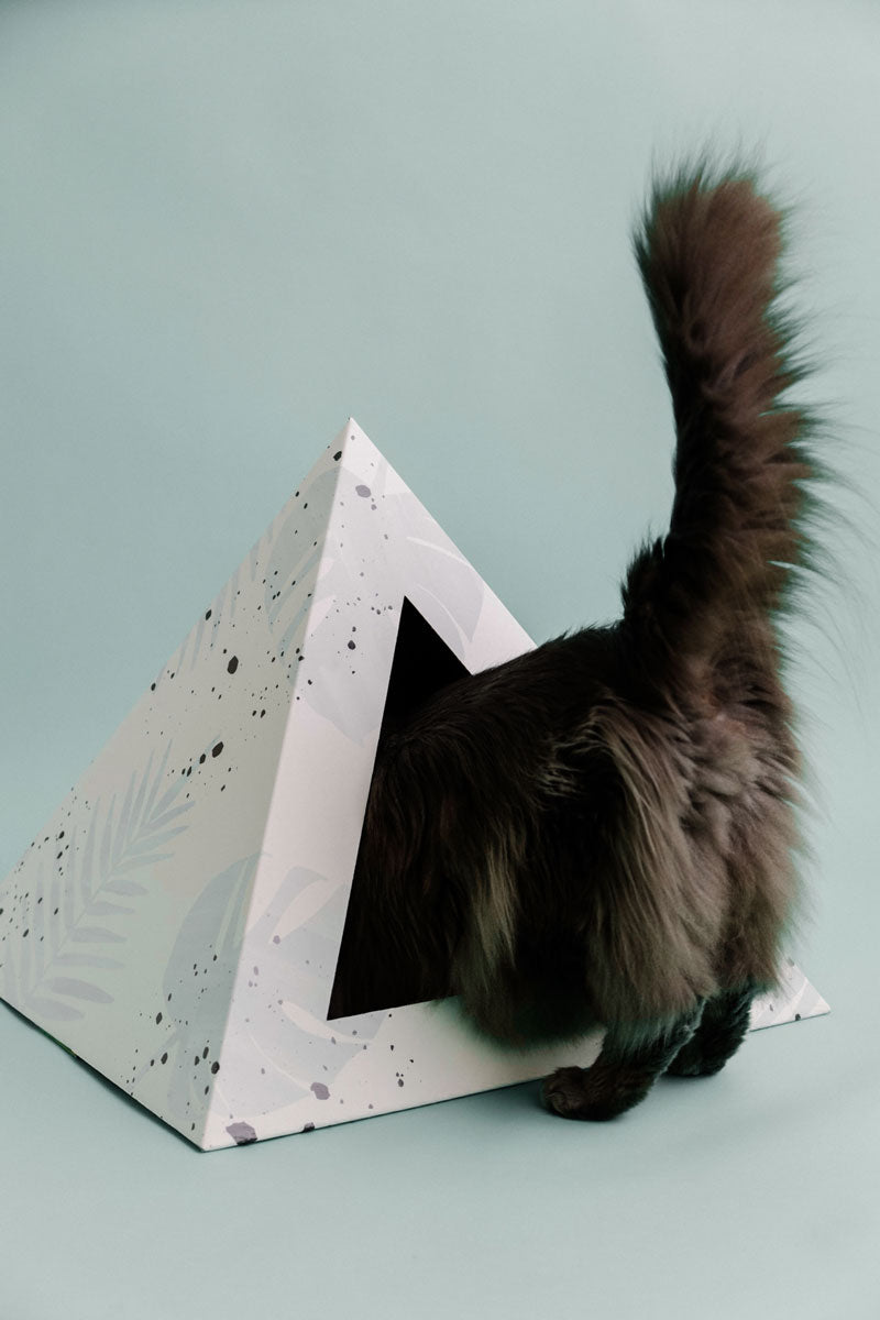 'Oasis' Cardboard Cat Pyramid - KittyKardboard
