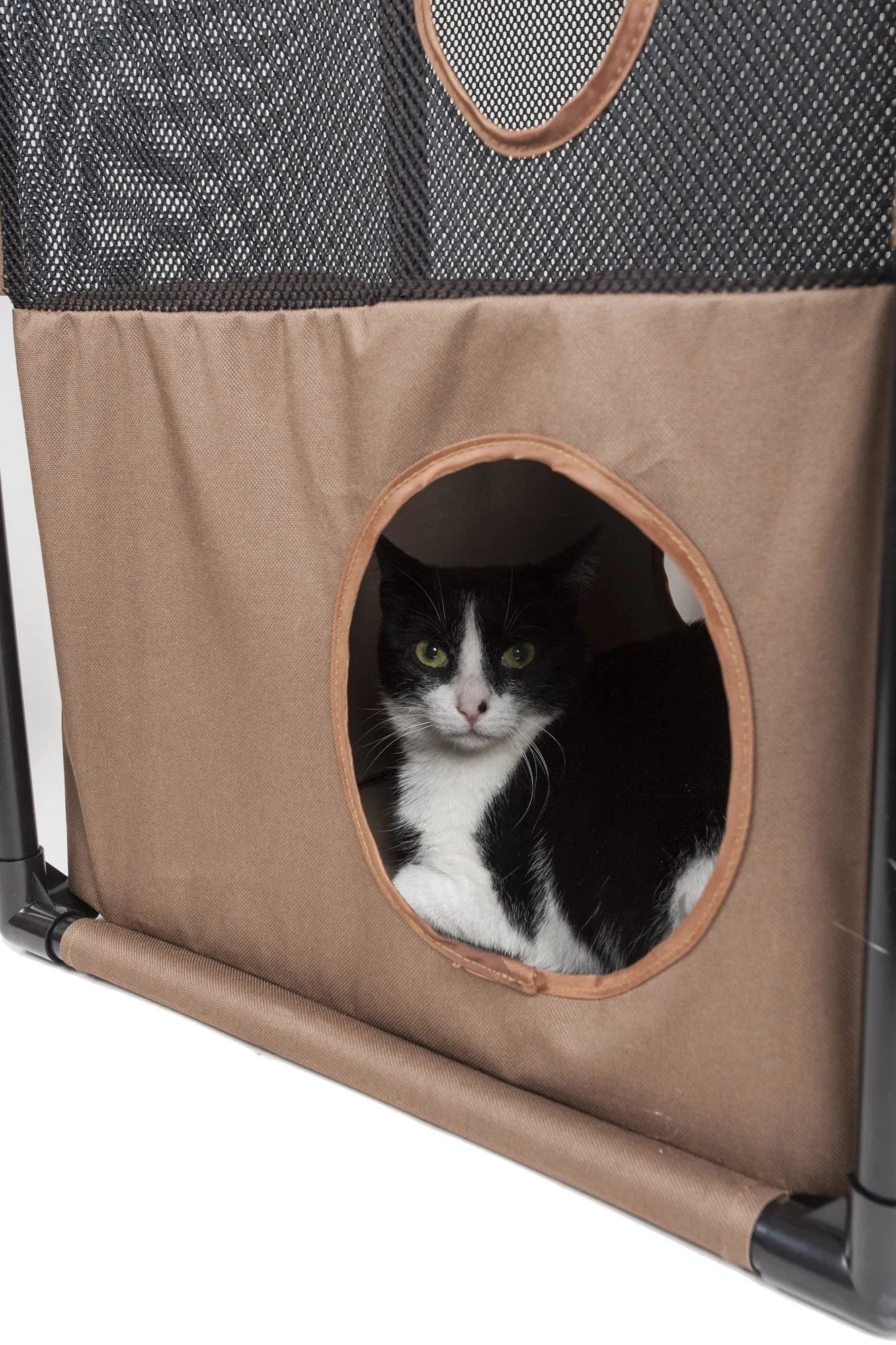 Kitty-Square Collapsible Travel Cat Tree by Purrfect Pet Kingdom® in stylish black, perfect for active felines on the go.