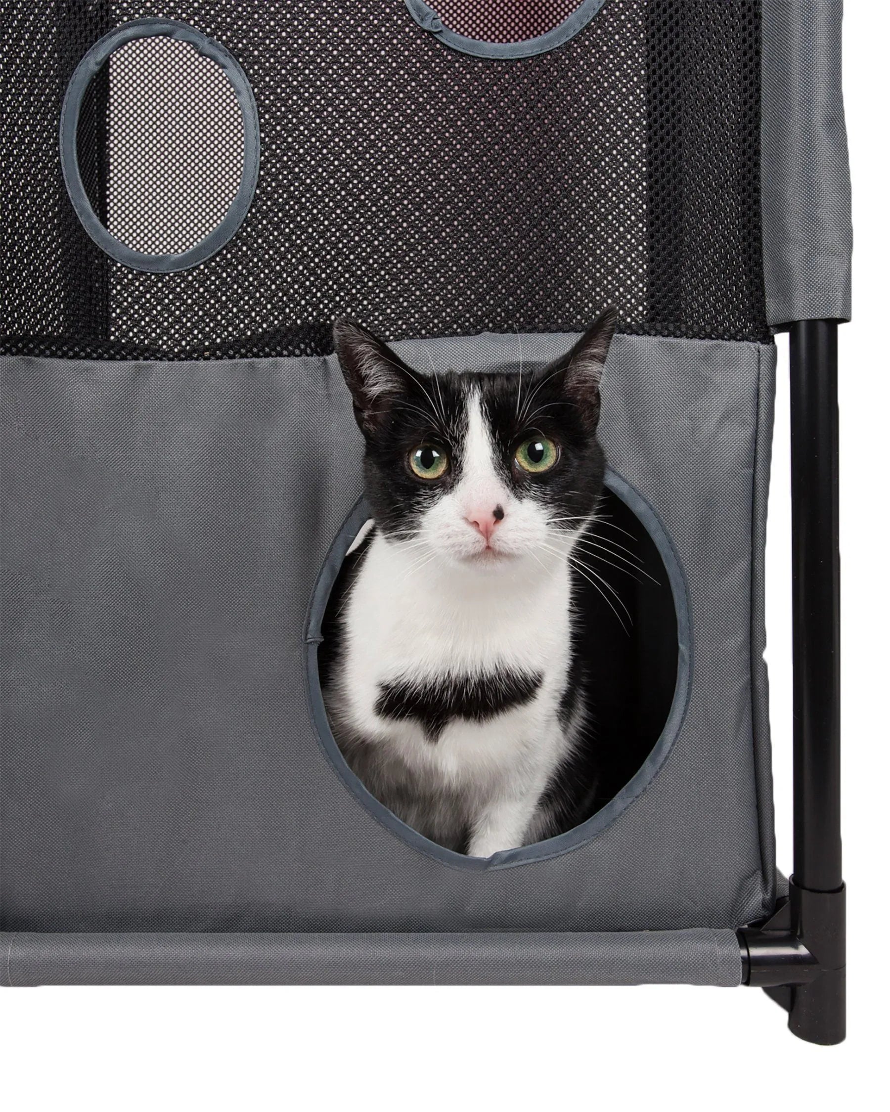 Kitty-Square Collapsible Travel Cat Tree by Purrfect Pet Kingdom® in stylish black, perfect for active felines on the go.